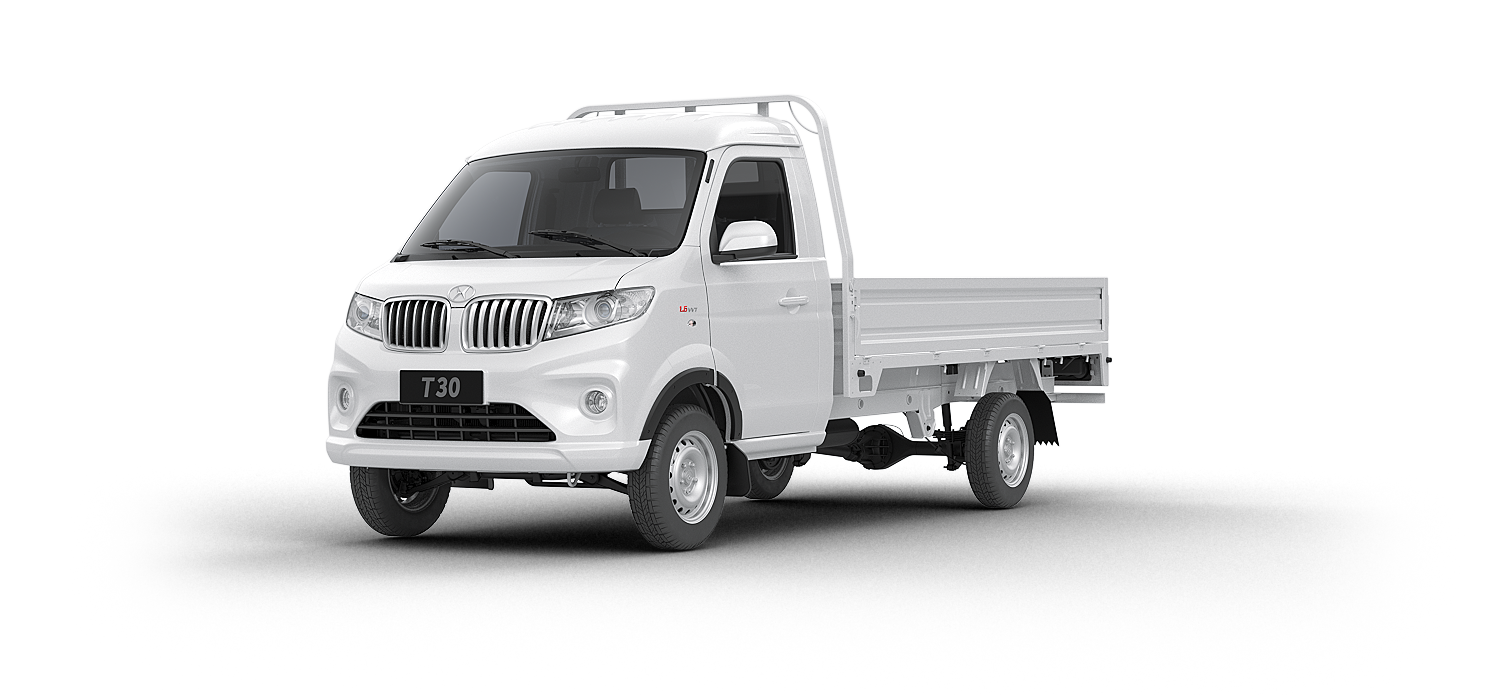 Shineray T30